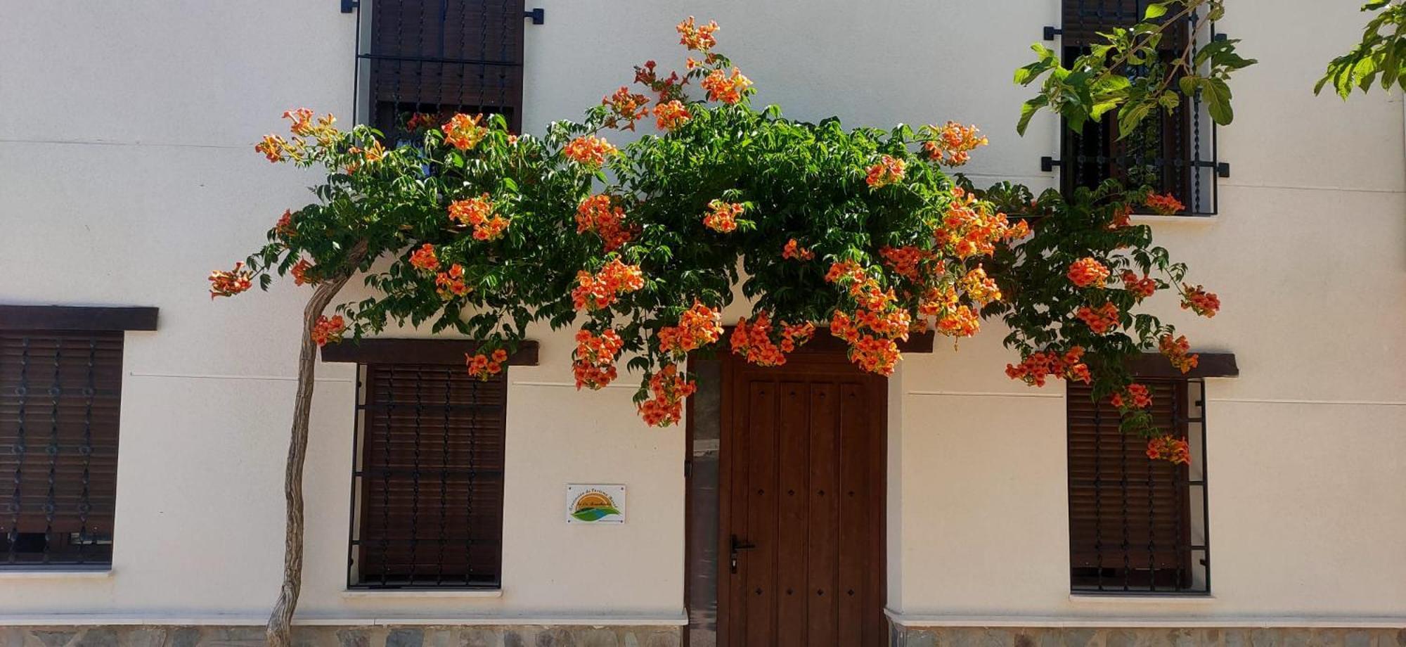 El Molino De Alatoz Villa Екстериор снимка